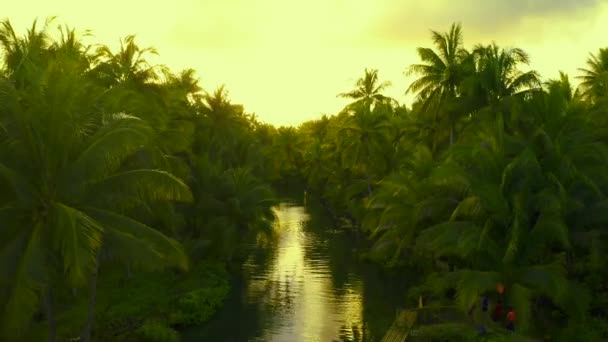 Palmendickicht auf den Philippinen. Konzept über Fernweh Tropenreisen. schwingen auf dem Fluss. Menschen haben aktiven Spaß im Fluss. — Stockvideo