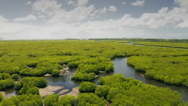 Paysage naturel de forêts de mangroves et cabane de pêcheurs autochtones sur les rivières 