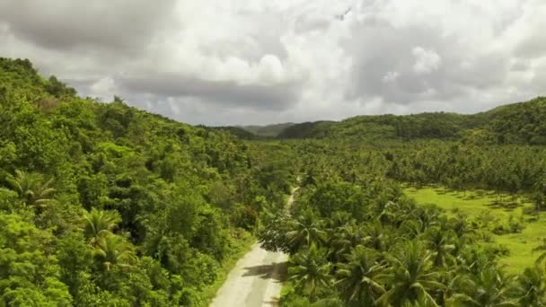 A estrada na ilha Siargao, Filipinas. Vista aérea sobre as belas paisagens do cenário . — Vídeo de Stock