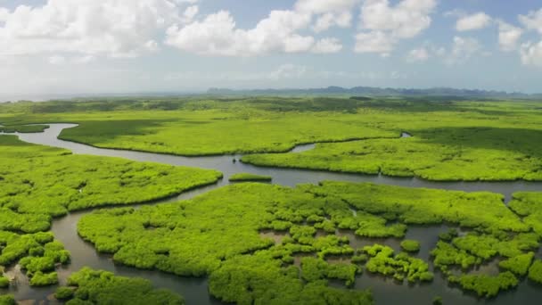 Fantasy djungel landskap av tropiska floder i Mangrove tropiska skogen i Siargao, Filippinerna. Turistdestinationer antenn utsikt — Stockvideo