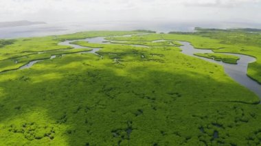 Siargao, Filipinler deniz körfezi ekoloji sistemi ile tropikal ormanlarda Mangrov alanı