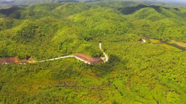 Siargao, Filipinler hindistan cevizi avuç içi arasında bir yere yolun havadan görünümü.