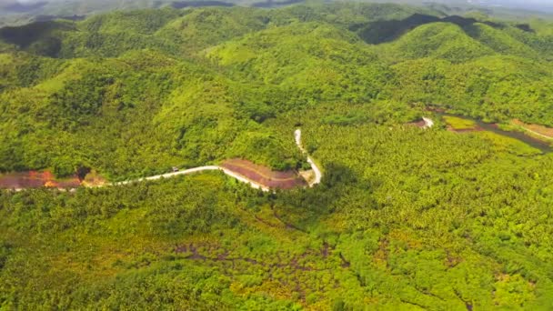 Flygvy över vägen någonstans bland kokospalmer i Siargao, Filippinerna. — Stockvideo