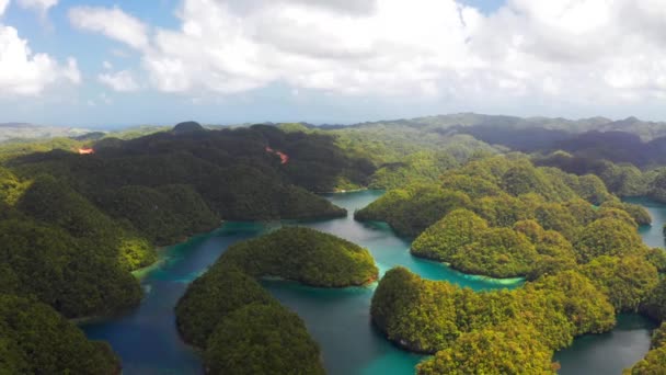 Vista aérea de la laguna Sugba. Hermoso paisaje con laguna azul, Parque Nacional, Isla de Siargao, Filipinas . — Vídeo de stock