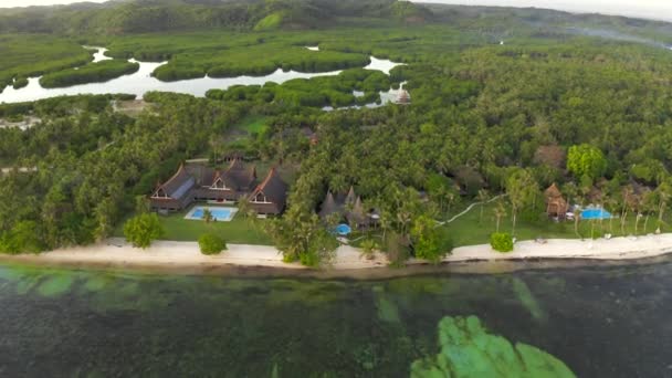 ヤシの木が植え付け、航空海の眺めの豪華なヴィラ。2019年7月15日 - シアルガオ、フィリピン. — ストック動画