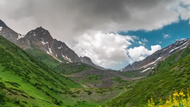 Горный зеленый ландшафт. Горно-зеленый фон. Вид на горы с цветами. Вид на луг горной долины. Timelapse 4K — стоковое видео