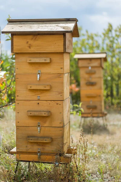 Bienenstock Aus Holz Bienenhaus — Stockfoto