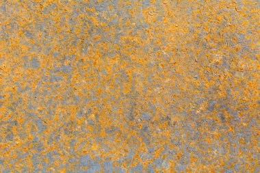 Paslı metal yaprak dokusu arka planı