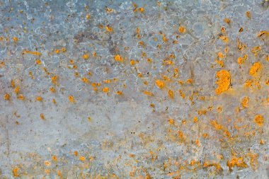 Paslı metal yaprak dokusu arka planı