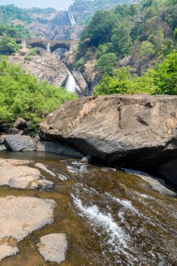 Bhagwan Mahavir kutsal şelale Dudhsagar ve demiryolu Köprüsü