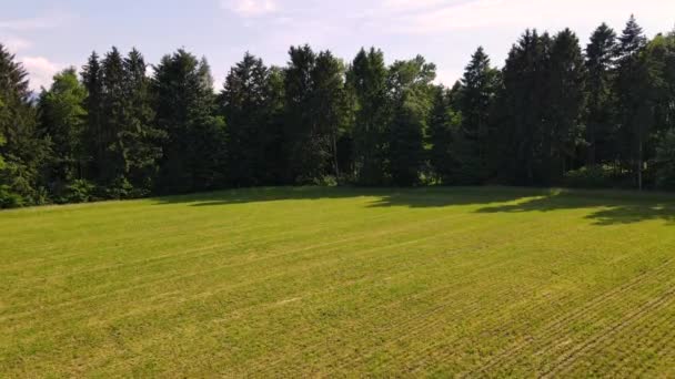 Flächenaufnahme Von Lake Zug Und Rigg Über Dem Golfplatz Von — Stockvideo