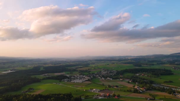 Teren Agricol Verde Brwon Vedere Dronă — Videoclip de stoc