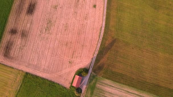 Yeşil Brwon Çiftlik Arazisi Drone Görünümü — Stok video