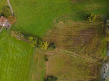 Göl kenarındaki otlağın drone görüntüsü. Boşluğu kopyala
