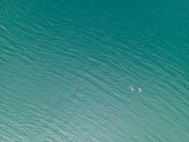 Gölde yüzen insanların drone görüntüleri..