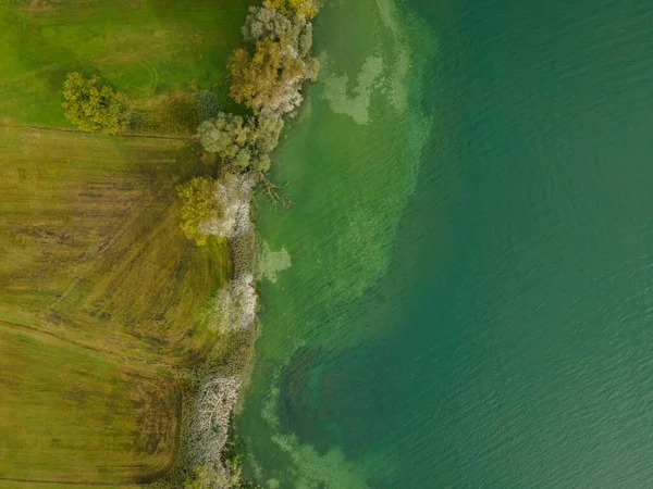 Tiro Drone Vista Pássaros Lago Claro Com Árvores Edifícios — Fotografia de Stock