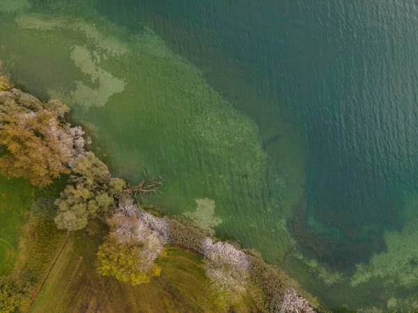 Tiro Drone Vista Pássaros Lago Claro Com Árvores Edifícios — Fotografia de Stock