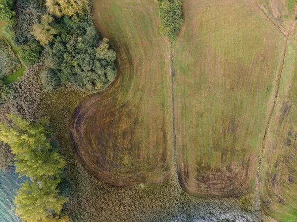Drone Tiro Pasto Perto Lago Espaço Cópia — Fotografia de Stock