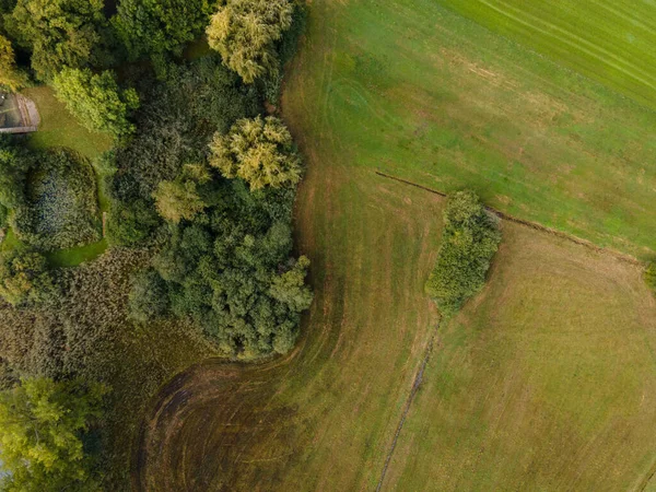Drone Shot Weiland Buurt Van Een Meer Kopieerruimte — Stockfoto