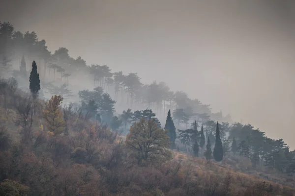 Вид Туманную Зеленую Гору Деревьями — стоковое фото