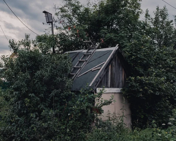 Krajobrazy Przyrody Zachody Słońca Nad Jeziorem Lesie — Zdjęcie stockowe