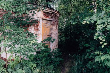 Doğanın manzaraları gölde ve ormanda gün batımları