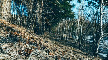 Sibirya manzaraları doğada gün batımları