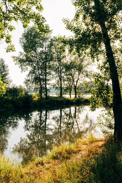 Paysages Nature Couchers Soleil Sur Lac Dans Forêt — Photo