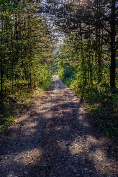 Naturlandschaften Mit Sonnenuntergängen See Und Wald — Stockfoto