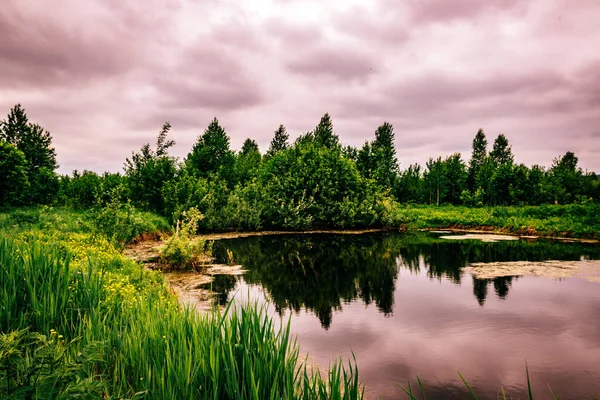 Paysages Sibériens Couchers Soleil Dans Nature — Photo