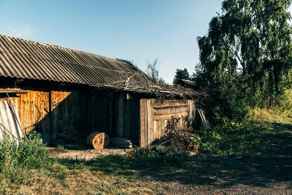 Sibirya manzaraları doğada gün batımları