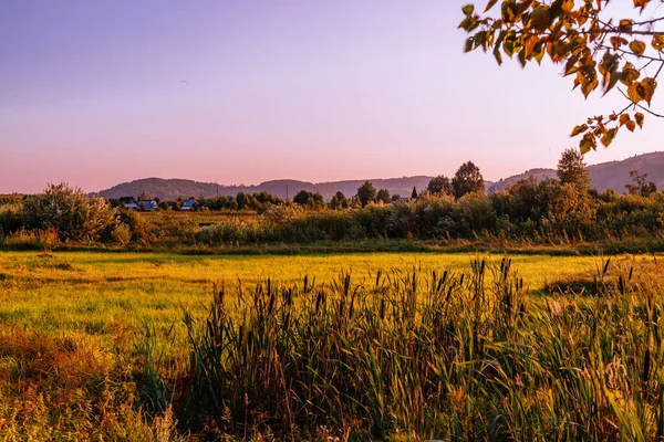 Paysages Sibériens Couchers Soleil Dans Nature — Photo