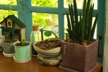 Kahve dükkanında bir sürü tencere var..