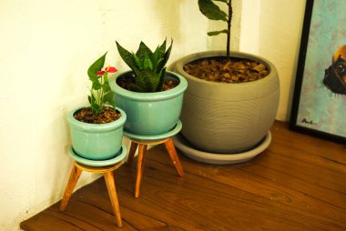 Kahve dükkanında bir sürü tencere var..