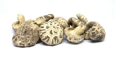 Premium Shiitake mantar beyaz arka plan üzerinde kurutulmuş