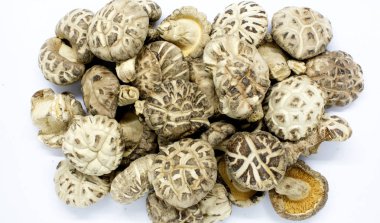 Premium Shiitake mantar beyaz arka plan üzerinde kurutulmuş