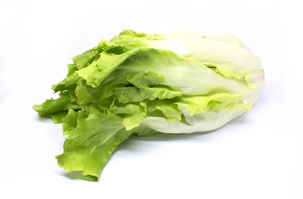 Green Salad White Background — Stock Photo, Image