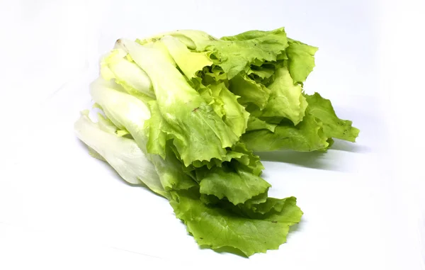 Groene Salade Witte Achtergrond — Stockfoto