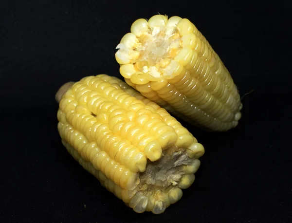 배경에 Corncob — 스톡 사진