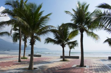 DA NANG SCENERY - BEACH SCENE WITH COCONUT