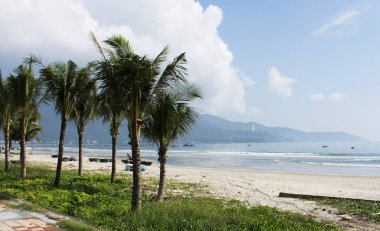 DA NANG SCENERY - BEACH SCENE WITH COCONUT