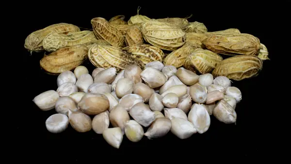 Erdnüsse Hintergrund Natürliche Bohnen Gesunde Ernährung — Stockfoto