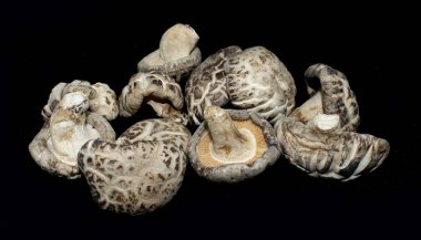 Premium Shiitake mantar - doğal madde kurutulmuş 