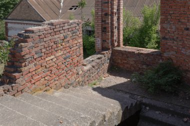 bitmemiş bir binanın merdiveninde bir ağaç filizlenmiş bir 