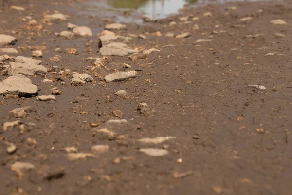 Close-up de pedras e areia molhada nos arredores de uma poça — Fotografia de Stock