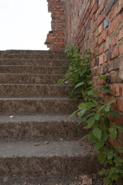 Ormanın ortasındaki eski bir evde terk edilmiş bir merdiven.