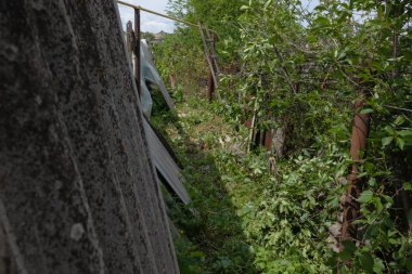 Ağaçlar arasında ilginç bir dolambaçlı yol ve eski bir paslı örgü bir