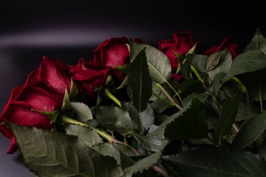 berrak çizgiler ve yeşil ile parlak kırmızı gül hassas buket 