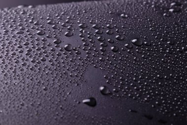 beyaz ışık lı bir stüdyoda koyu gri bir arka plan üzerinde ve un