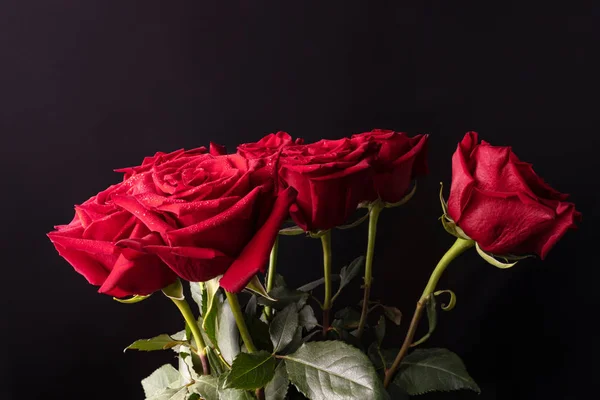 Bukiet czerwonych róż na zielono i długich łodyg z zielonych liści — Zdjęcie stockowe